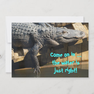 Invitation Alligator On Dock