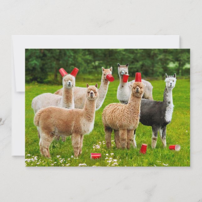 Invitation Alpacas Avec Coupes Rouges (Devant)