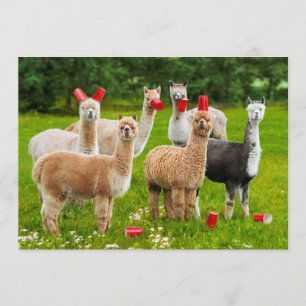 Invitation Alpacas Avec Coupes Rouges