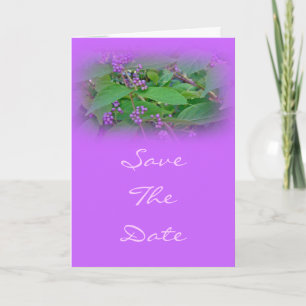 Invitation American Beautyberry (Callicarpa americana)