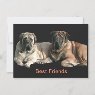 Invitation Amis de la Mastiff