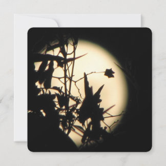 Invitation Amour dans la lumière scintillante de la lune