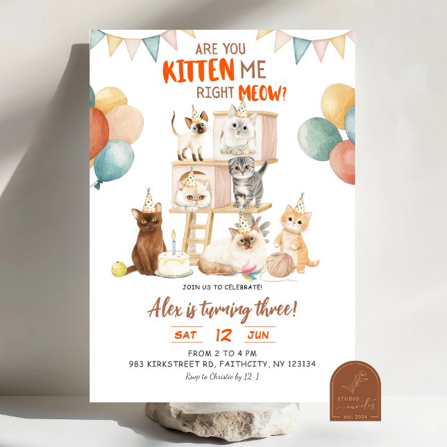 Invitation Amoureux des chats Vous Chatons Tout de Suite ? An (Créateur téléchargé)