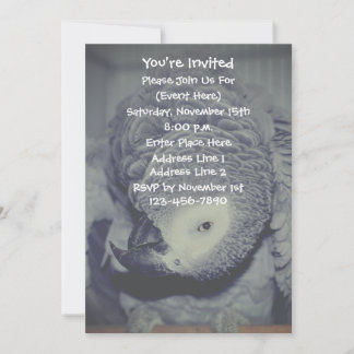 Invitation Amusante fête du perroquet gris africain