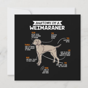 Invitation Anatomie D'Un Chien Weimaraner