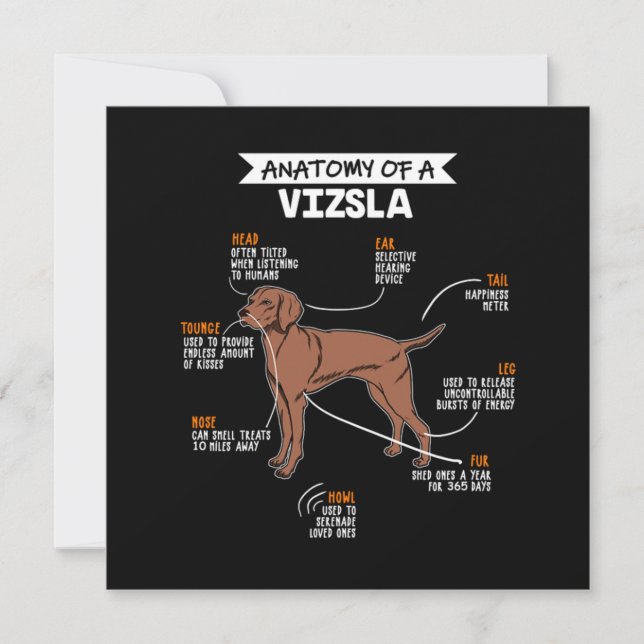 Invitation Anatomy Of A Vizsla Dog (Devant)