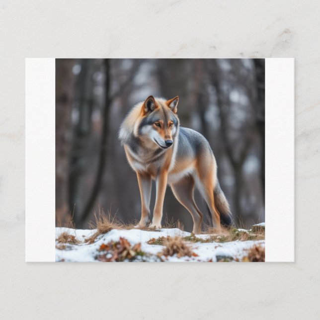 Invitation and announcement  (Devant)