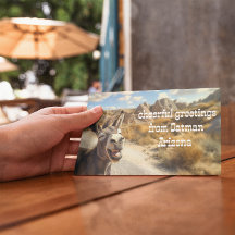 Âne souriant, Oatman Arizona