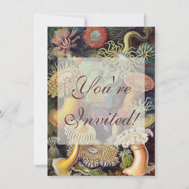 Invitation Anémone de mer Nature scientifique Océan (Devant)