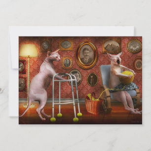 Invitation Animal - Chat - Maison de retraite pour chats