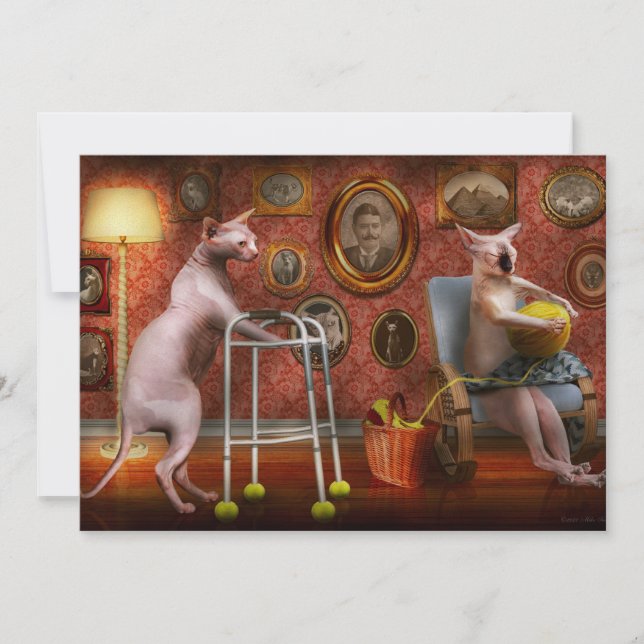 Invitation Animal - Chat - Maison de retraite pour chats (Devant)