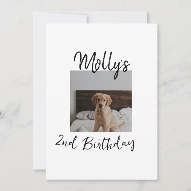 Invitation Animateur chien chat animal photo moderne simple (Devant)