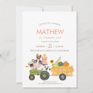Invitation Animaux de ferme Barnyard 1er 2e anniversaire Invi