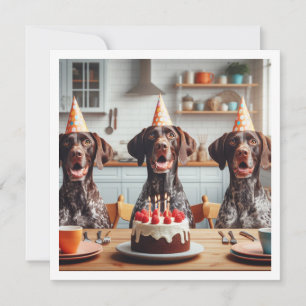 Invitation Anniversaire de chien Pointer allemand à poil cour