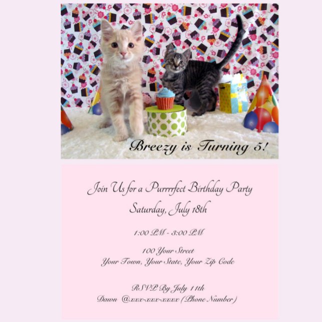 Invitation Anniversaire de Patton et Buffington (chat/ chaton (Créateur téléchargé)