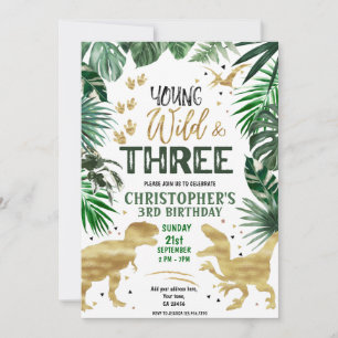 Invitation Anniversaire de Young Wild & Three Dinosaur