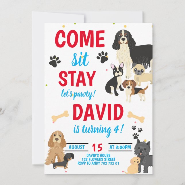 Invitation Anniversaire des chiens Pawty Boys Anniversaire (Devant)