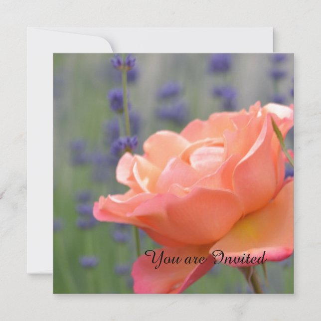 Invitation Anniversaire du rose et de la lavande (Devant)