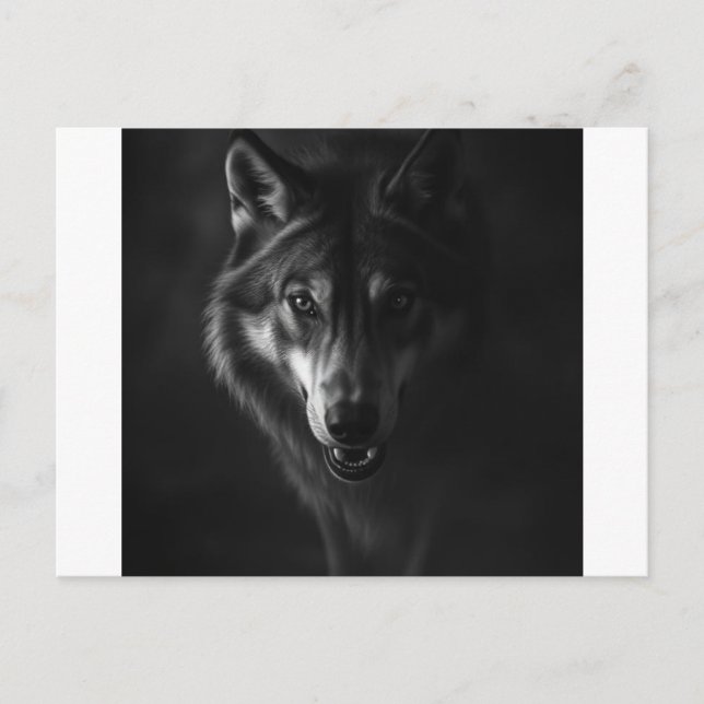 Invitation & Annonce  (Devant)