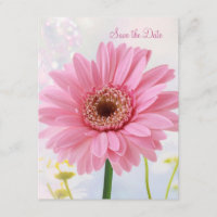 Annonce de sauvegarde de date - Gerbera rose