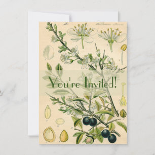 Invitation Antique Blackthorn Botanique Imprimé Fleur Berry