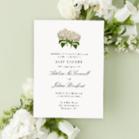Antique Blanc Hydrangea Grand-millénaire Double