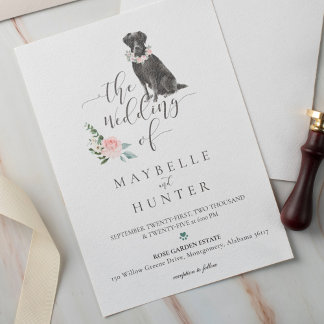 Invitation Aquarelle Black Labrador Animaux de compagnie et r