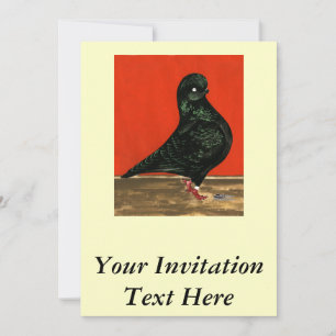 Invitation Aquarelle noire de Pigeon