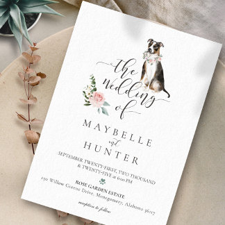 Invitation Aquarelle Tricolor Pitbulor Pet Rose rose florale