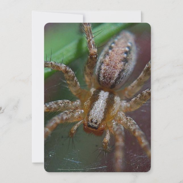 Invitation Araignée énorme (Devant)