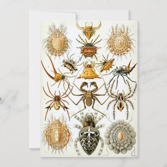 Invitation Araignées (Devant)