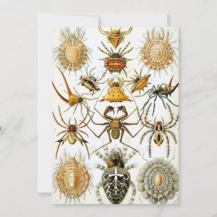 Invitation Araignées ou arachnides vintage par Ernst Haeckel