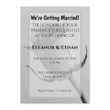 Artistic Minimalist Black and White Rose Bud 