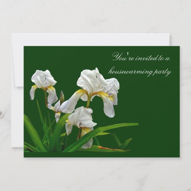 Invitation au réchauffement de la maison - Iris à  (Devant)