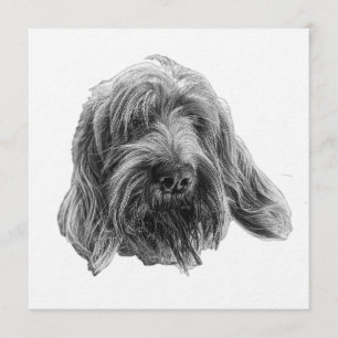 Invitation au souper Spinone