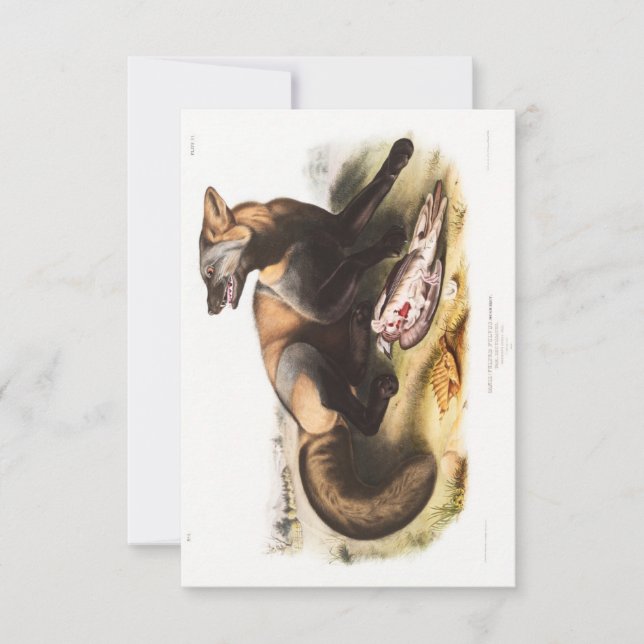 Invitation Audubon American Cross-Fox Portrait (Devant)