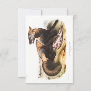 Invitation Audubon American Cross-Fox Portrait