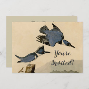 Invitation Audubon Belted Kingfisher Wildlife Bird