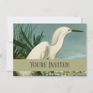 Invitation Audubon Héron de neige Oiseaux d'aigrettes blanche