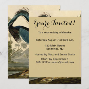 Invitation Audubon Louisiana Heron Birds America Art