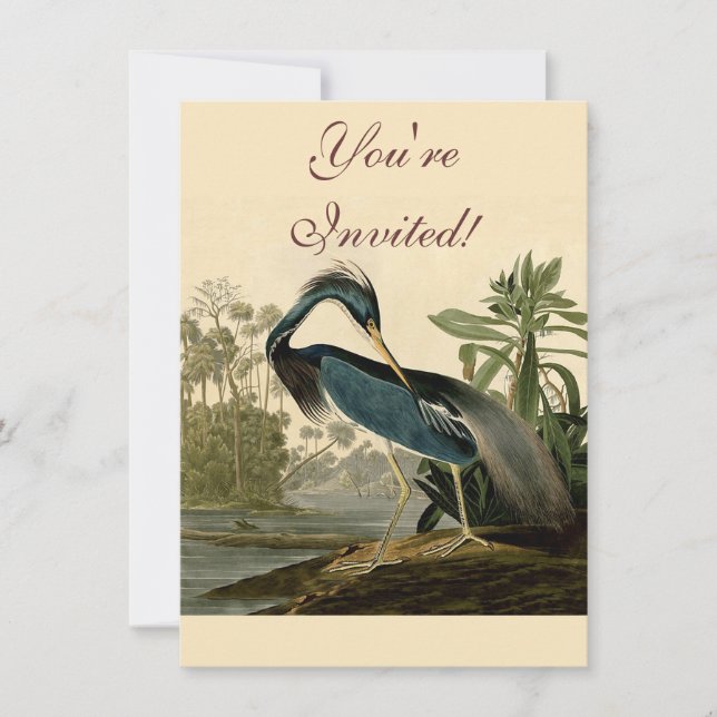 Invitation Audubon Louisiana Heron Birds America Art (Devant)