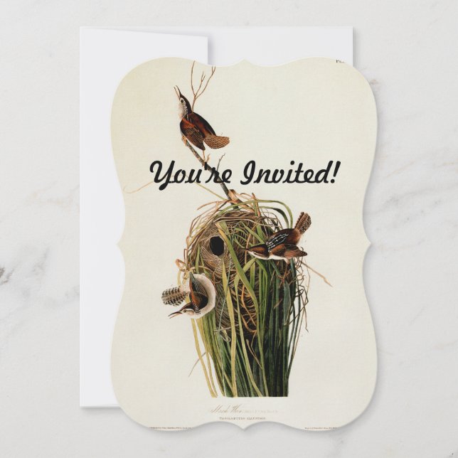 Invitation Audubon Marsh Wren Bird Art (Devant)