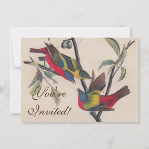 Invitation Audubon Peint Bunting Bird Wildlife