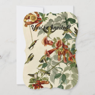 Invitation Audubon Throsé de colibri