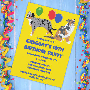 Invitation Aussies Australian Shepherd'anniversaire