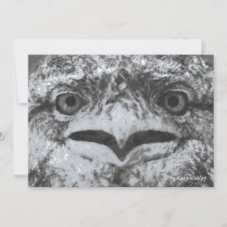 Invitation Australian Wildlife, Nature's Curmudgeon, Animal