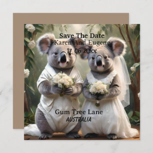 Invitation Australien Koala Bear Mariage blanc