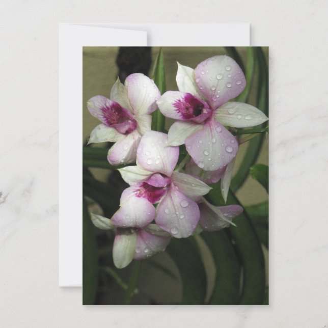 Invitation aux orchidées, personnaliser (Devant)