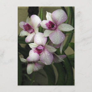 Invitation aux orchidées, personnaliser