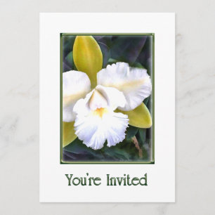 Invitation avec Cattleya Orchidées Vertes et Blanc